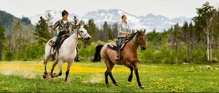 Confident plus-size woman riding Twickenham a horse through a field with a smile on her face.